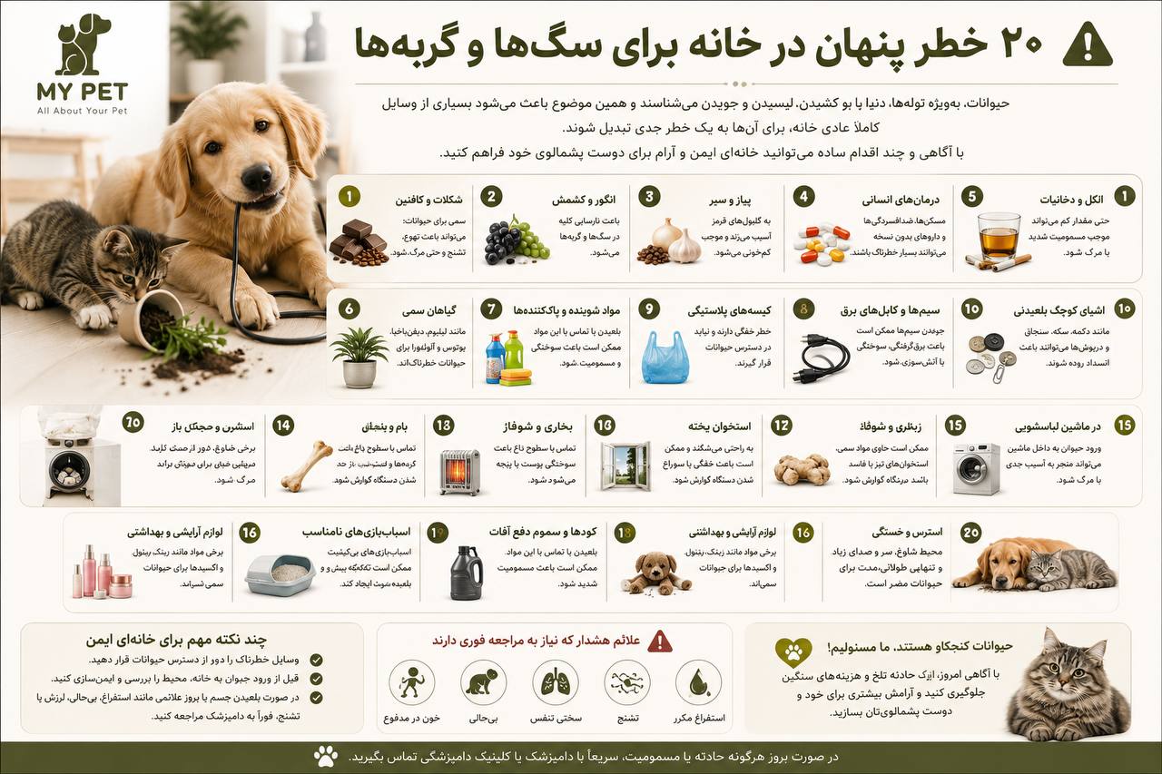 تصویری آموزشی و کاربردی از ۲۰ خطر خانگی برای سگ‌ها و گربه‌ها؛ شامل مواد غذایی سمی، داروها، گیاهان خطرناک، مواد شوینده، سیم برق، اشیای کوچک و وسایل گرمایشی، همراه با علائم هشدار مسمومیت و نکات ایمن‌سازی خانه. لوگوی رسمی MY PET در گوشه بالا سمت چپ قرار دارد.