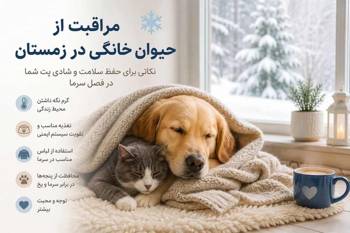 مراقبت از حیوان خانگی در زمستان